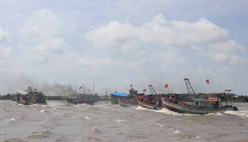  Khẩn trương tìm kiếm ngư dân mất tích tại vùng biển Bình Thuận ảnh 1